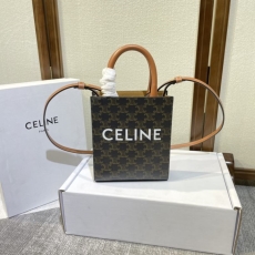 Celine Triomphe Bags